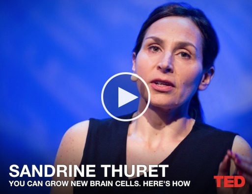 sandrine-thuret-ted-talk-you-can-grow-new-brain-cells